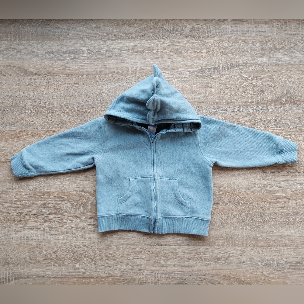 Rwar!!! Gymboree dinosaur hoodie 2T-3T - Picture 2 of 12